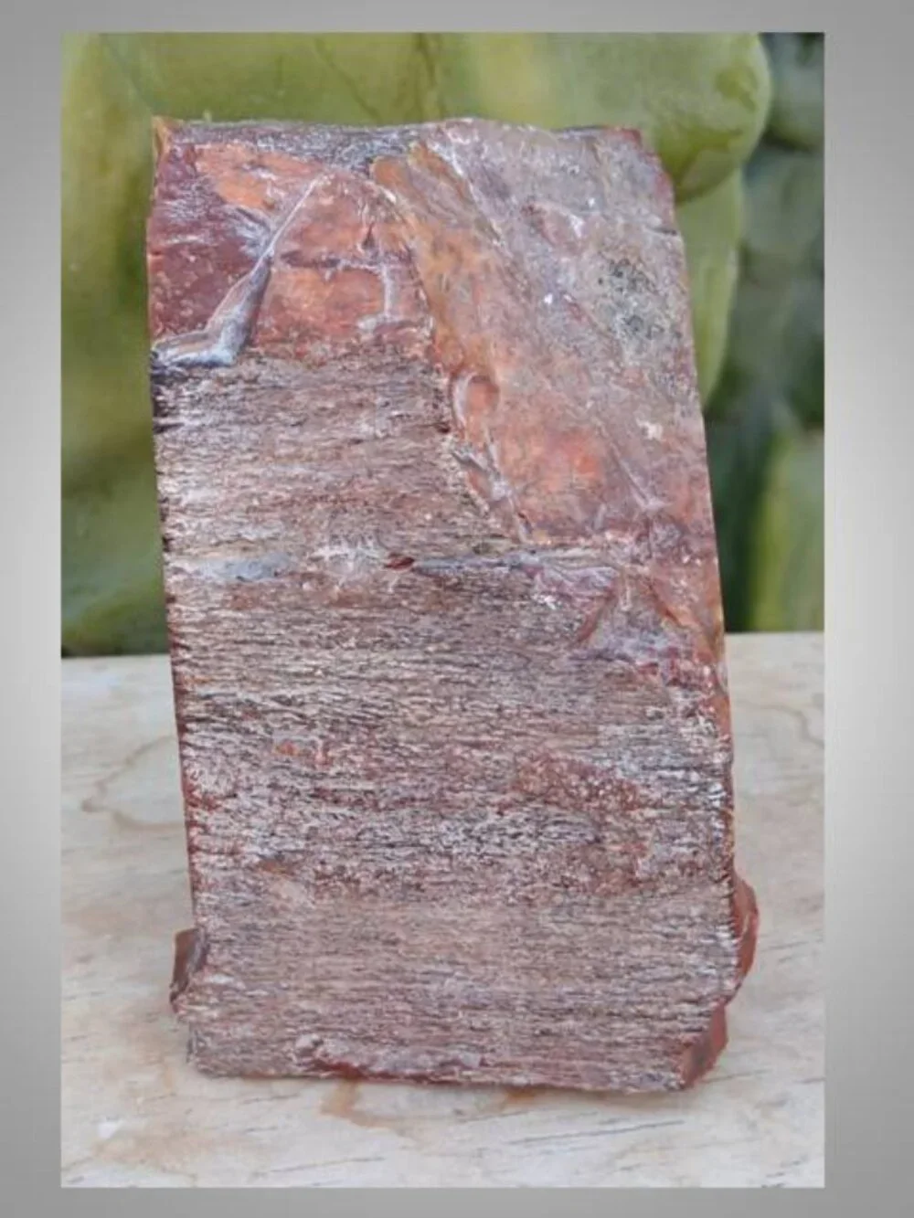 #5 Petrified Wood chunk stone fossil FORTUNE strength CALMNESS